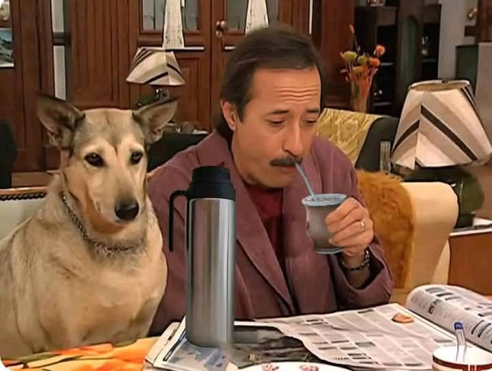 yo viendo como se desarrolla la tercera guerra mundial desde la comodidad de mi living