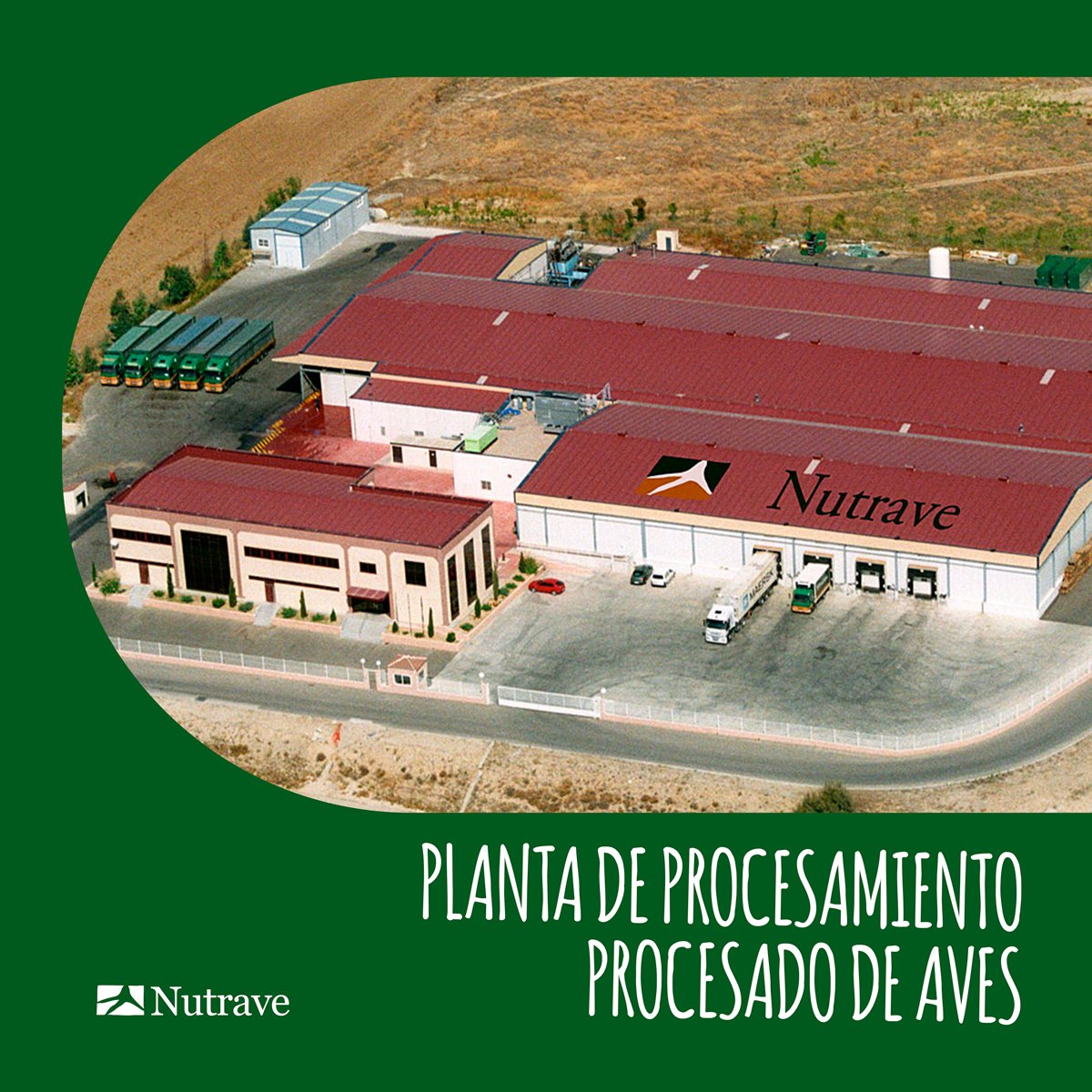🐔 Nuestra planta de procesamiento avícola cuenta con 20.000 m² de tecnología europea de punta y una capacidad de sacrificio de hasta 16M aves/año (8.5M pollo 🐥 + 7.5M gallina 🐓). 
Desde recepción hasta expedición, ¡eficiencia y calidad en cada etapa! 
nutrave.es/compania/insta…