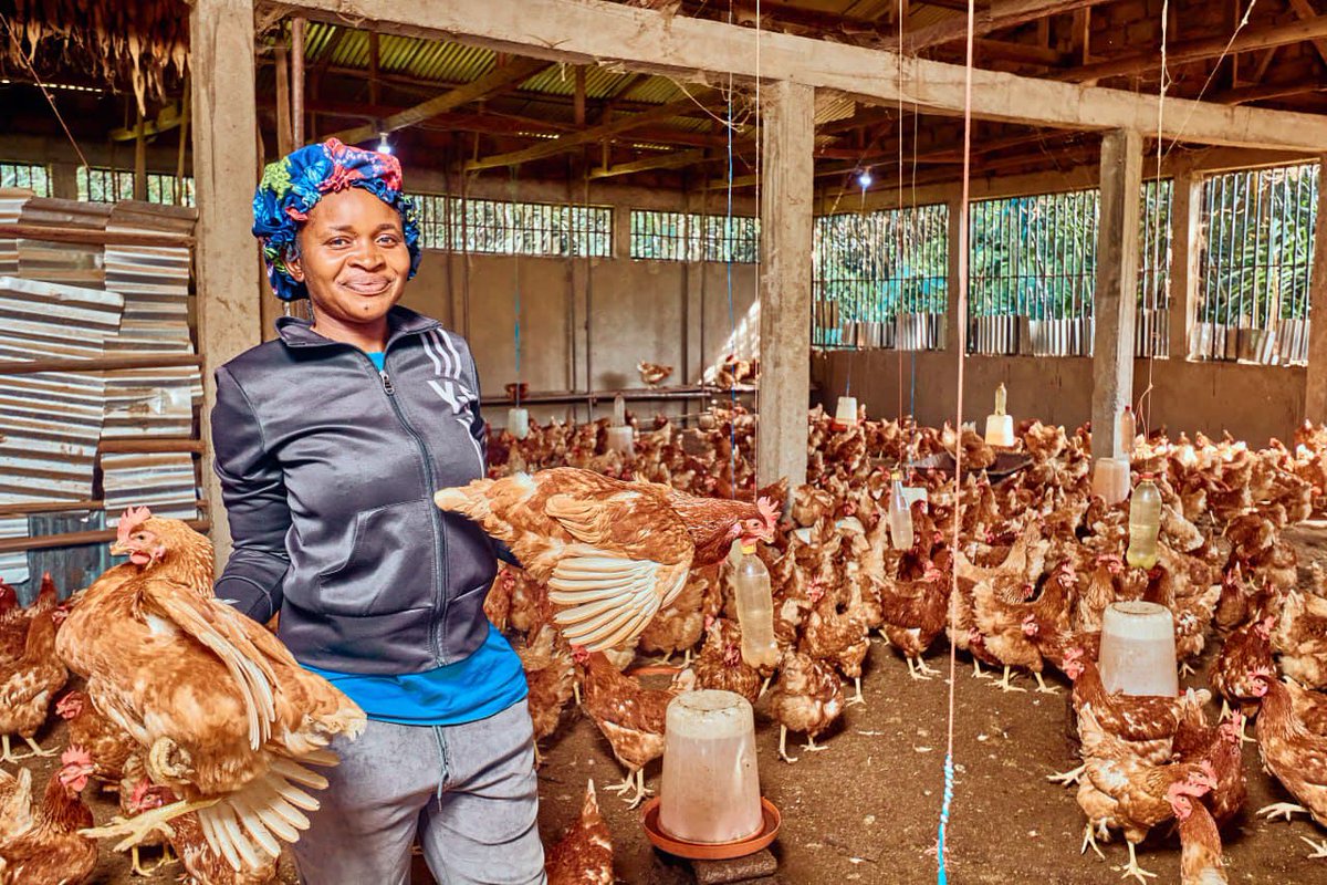 PNUDCameroun's tweet image. #UNDP 🇨🇲 is empowering women in crisis-affected communities to rebuild their lives and lead change.
Meet Annabel, a 32-year-old mother of three from Bamenda III in the #NWRegion 🇨🇲. With support from the #RecoveryProgramme under the #PPRD-NW/SW, funded by IsDB, she transformed…