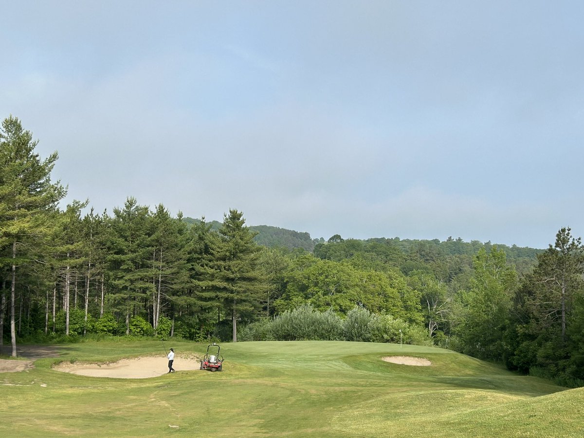 Lesley Thomas tweet media