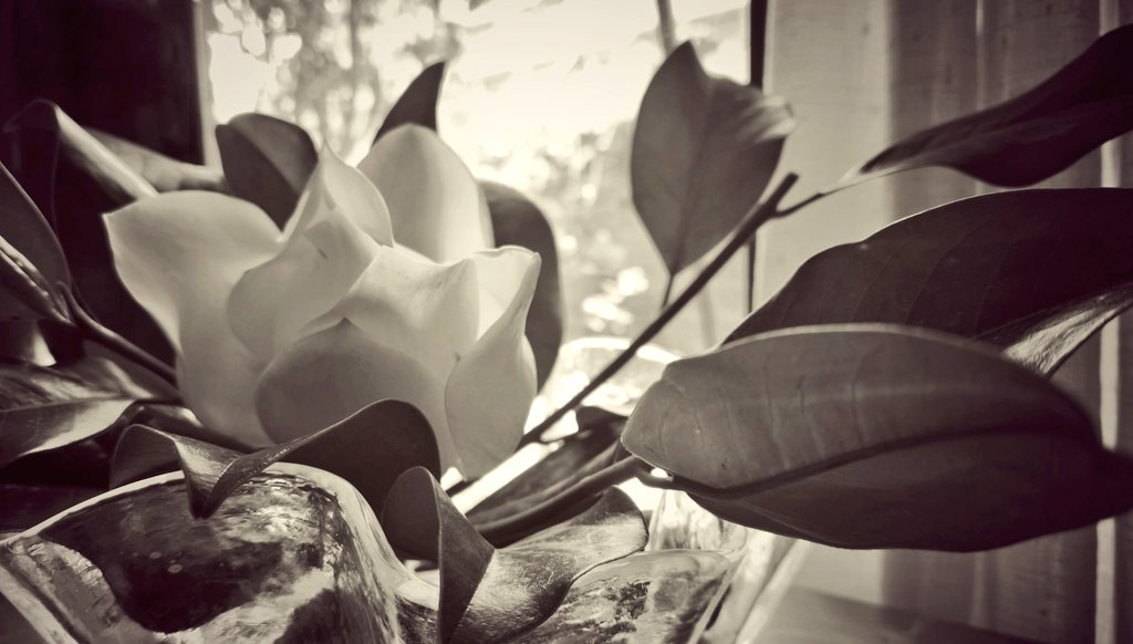 "--Me n'he d'anar, naturalment! Ara ja ens hem conegut, ens hem estimat. Què ens cal més ja?"

Els habitants del pis 200
Elvira Augusta Lewi (1909-1970)

<a href="/LesMalesHerbes/">Editorial Males Herbes</a>
<a href="/ElsMarges/">ElsMarges</a>