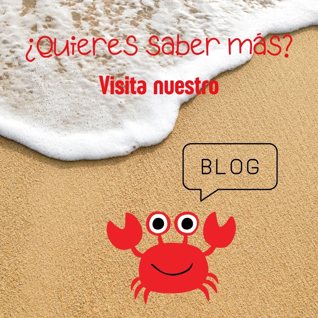 👨‍🏫Esta semana en nuetro blog de #educacioninclusiva para niños nos despedimos de las clases, por la llegada del 🌞#verano, dándote unas series de recomendaciones de actividades para los más pequeños
🔗famma.org/feliz-verano-2