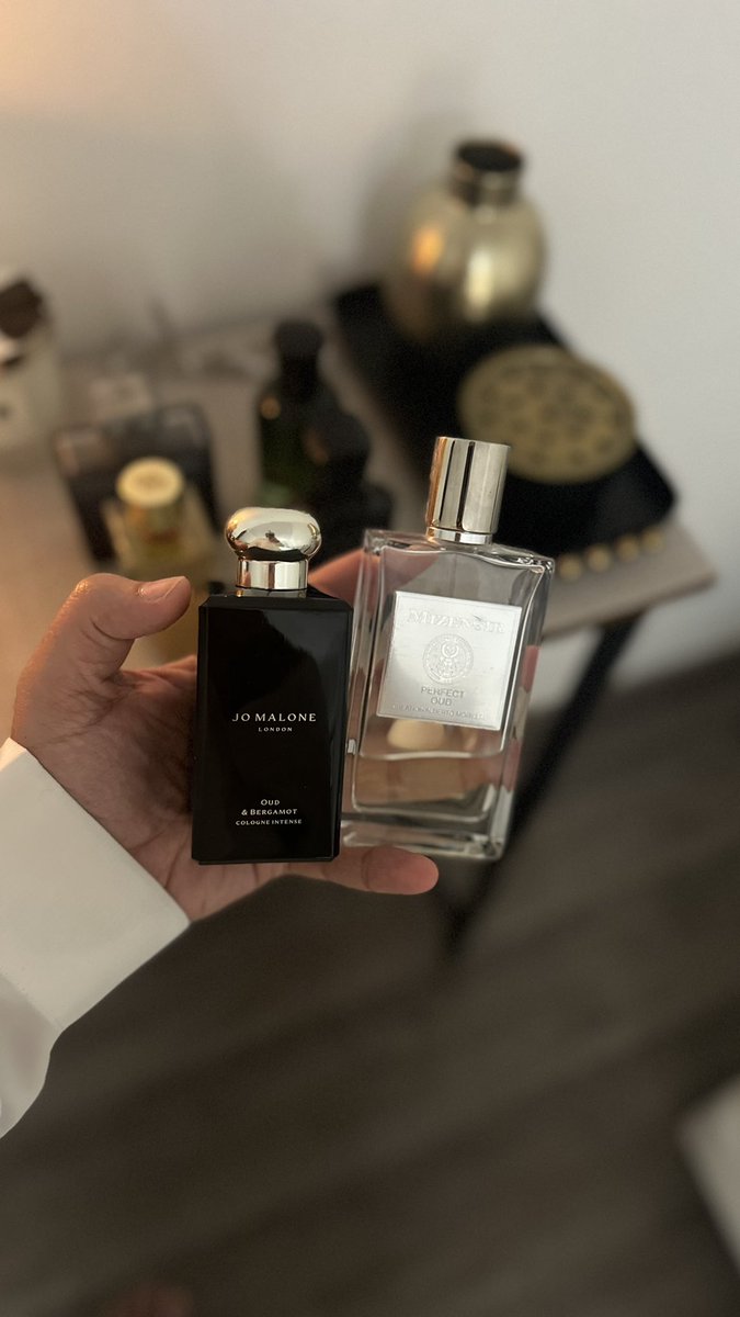 كيف لعطر عود يكون صيفي ⁉️

"بيرفكت عود" "عود برغموت" عطور رسمية مثالية للصيف بلمسة عود منعشة. 

جمعت بين الفخامة والانتعاش.