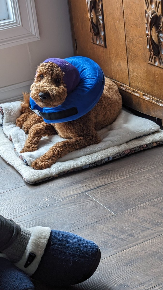 UberBash tweet media