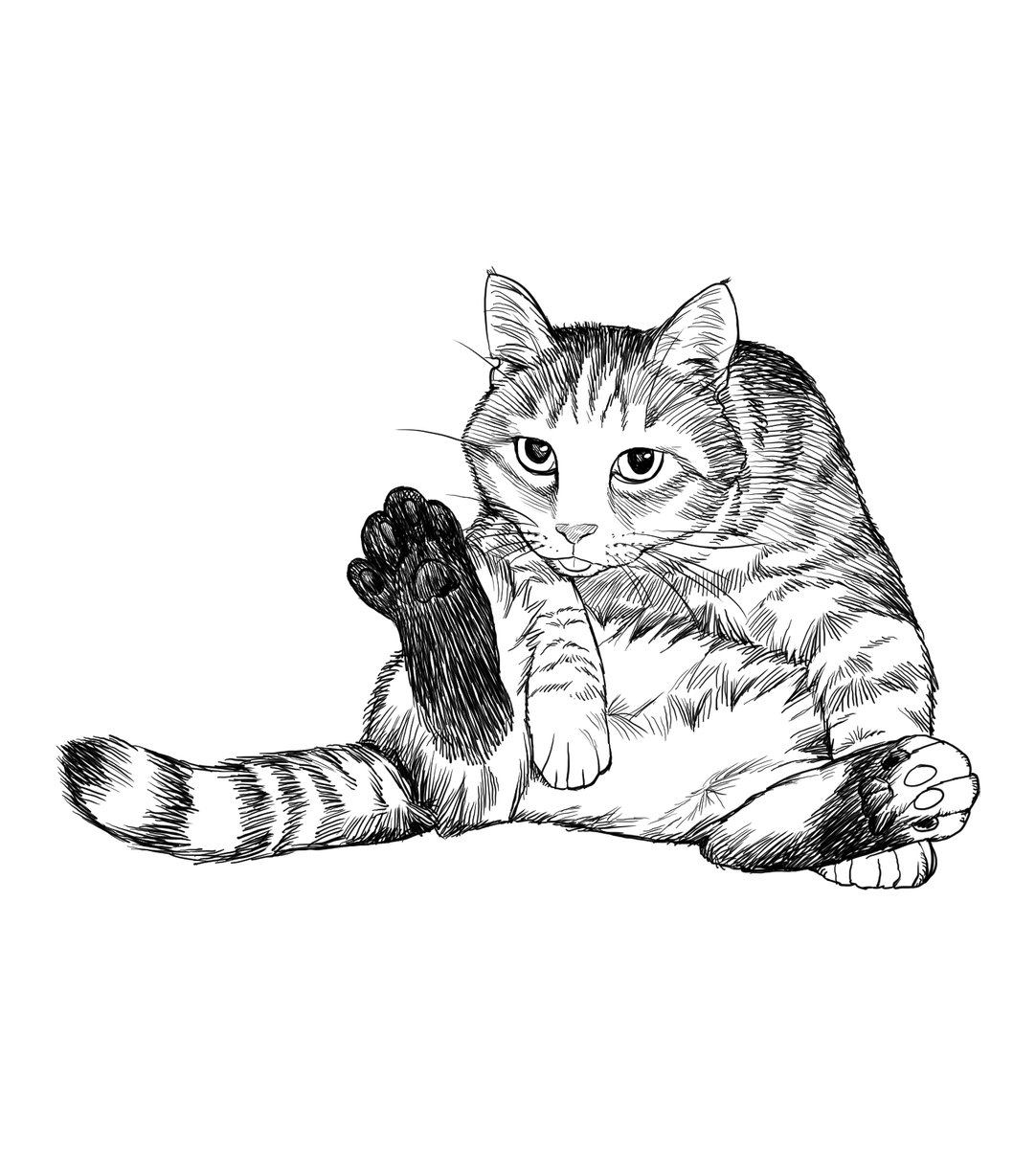 혀수납망각 고양이