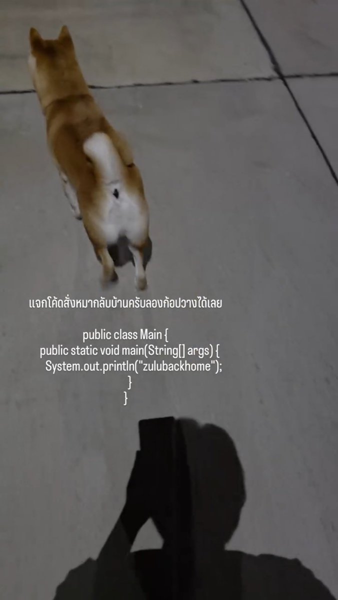 JUUPJEEPz's tweet photo. ชอบจังที่น้องหยิ่นมาลงอะไรแบบนี้ให้ดู เหมือนเราเป็นเพื่อนกัน สนิทใจที่จะแชร์อะไรให้เราดู น่ารักมากกก ☺️ 
@yinyin_anw #yinyin_anw #หยิ่นวอร์ https://t.co/nKO9ydyKLw
