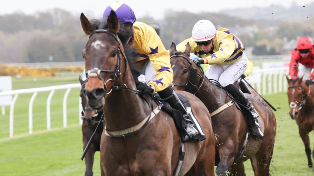 A first Group 1 winner for Windsor Castle Stakes victor and Bearstone sire Washington DC as American Affair lands the King Charles III Stakes.

American Affair is the third generation of his family to have won for trainer and part-owner Jim Goldie following his dam Classy Anne