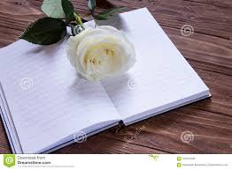 🇨🇺Ennar🇨🇺 (@ennar865927) on Twitter photo <a href="/HojasDeVersos/">Hojas De Versos 🍀🌸</a> <a href="/AmaliaR622/">✨Amalia Rodríguez ✨🌹</a> <a href="/AleidaB95/">𝓐𝓵𝓮𝓲𝓭𝓪🇨🇺꧂</a> <a href="/Aittana20/">Aitana</a> <a href="/CubanoAPie2/">Cubano A Pie</a> <a href="/elicardenas39/">elisa cardenas</a> <a href="/Estoubem191/">Rejas ®</a> <a href="/ICuba15/">꧁AliDe 🇨🇺⚘️</a> <a href="/Lucia0102cuba/">Lucía</a> <a href="/MarilnLen84/">Azucena de Cuba</a> No deseo dejarla sin palabras, al contrario, quiero tener la posibilidad de leer todo cuanto escribe.
Saludos cordiales. <a href="/HojasDeVersos/">Hojas De Versos 🍀🌸</a> <a href="/AmaliaR622/">✨Amalia Rodríguez ✨🌹</a> <a href="/AleidaB95/">𝓐𝓵𝓮𝓲𝓭𝓪🇨🇺꧂</a> <a href="/Aittana20/">Aitana</a> <a href="/CubanoAPie2/">Cubano A Pie</a> <a href="/elicardenas39/">elisa cardenas</a> <a href="/Estoubem191/">Rejas ®</a> <a href="/ICuba15/">꧁AliDe 🇨🇺⚘️</a> <a href="/Lucia0102cuba/">Lucía</a> <a href="/MarilnLen84/">Azucena de Cuba</a> No deseo dejarla sin palabras, al contrario, quiero tener la posibilidad de leer todo cuanto escribe.
Saludos cordiales.