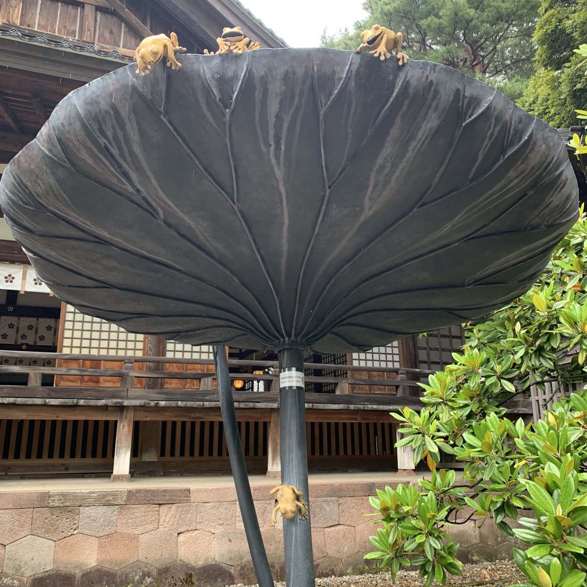 行ったどー！石川
千里浜なぎさドライブウェイ〜
近くにこんな図書館欲しい