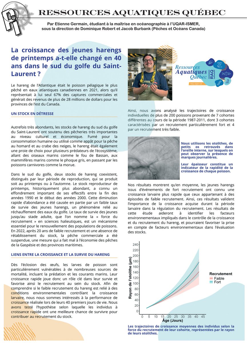 🧐 𝗦𝗮𝘃𝗶𝗲𝘇-𝘃𝗼𝘂𝘀 𝗾𝘂𝗲 𝗹𝗮 𝗰𝗿𝗼𝗶𝘀𝘀𝗮𝗻𝗰𝗲 𝗱𝗲𝘀 𝗷𝗲𝘂𝗻𝗲𝘀 𝗵𝗮𝗿𝗲𝗻𝗴𝘀 𝗮 𝗰𝗵𝗮𝗻𝗴𝗲́ 𝗲𝗻 𝟰𝟬 𝗮𝗻𝘀 𝗱𝗮𝗻𝘀 𝗹𝗲 𝗴𝗼𝗹𝗳𝗲 𝗱𝘂 𝗦𝗮𝗶𝗻𝘁-𝗟𝗮𝘂𝗿𝗲𝗻𝘁 ?  

Étienne Germain (UQAR-ISMER) explore le lien entre croissance larvaire &amp; recrutement. 👇👇