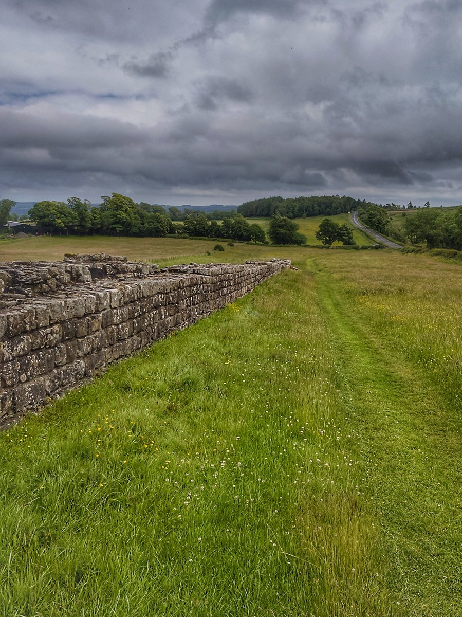 HADRIAN'S WALL PATH (@hwpath) on Twitter photo Another busy day cutting grass... but no basking in the sun today 🙁
Here's Blackcarts on #hadrianswall #nationaltrail in the <a href="/NlandNP/">N'land National Park</a> Another busy day cutting grass... but no basking in the sun today 🙁
Here's Blackcarts on #hadrianswall #nationaltrail in the <a href="/NlandNP/">N'land National Park</a>