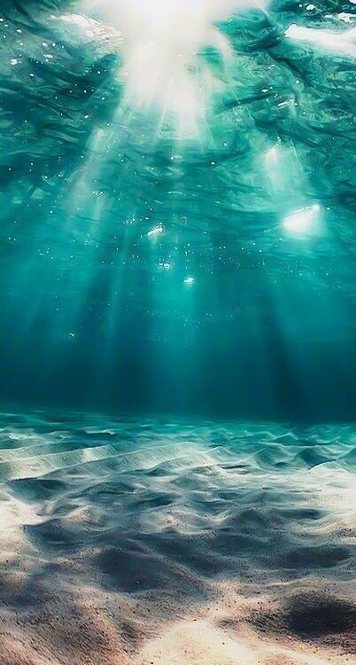 Underwater view