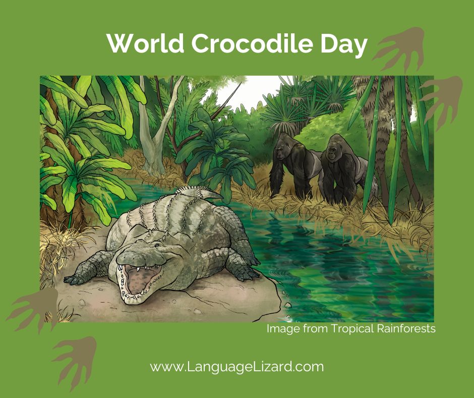 LanguageLizard's tweet image. Celebrate these amazing reptiles on this #WorldCrocodileDay!

Learn more about crocodiles in Tropical Rainforests. Get your copy at zurl.co/OqE4z! Available in many languages.

 #bilingualkidsbooks #nonfictionforkids #kidsbooksabouttheenvironment