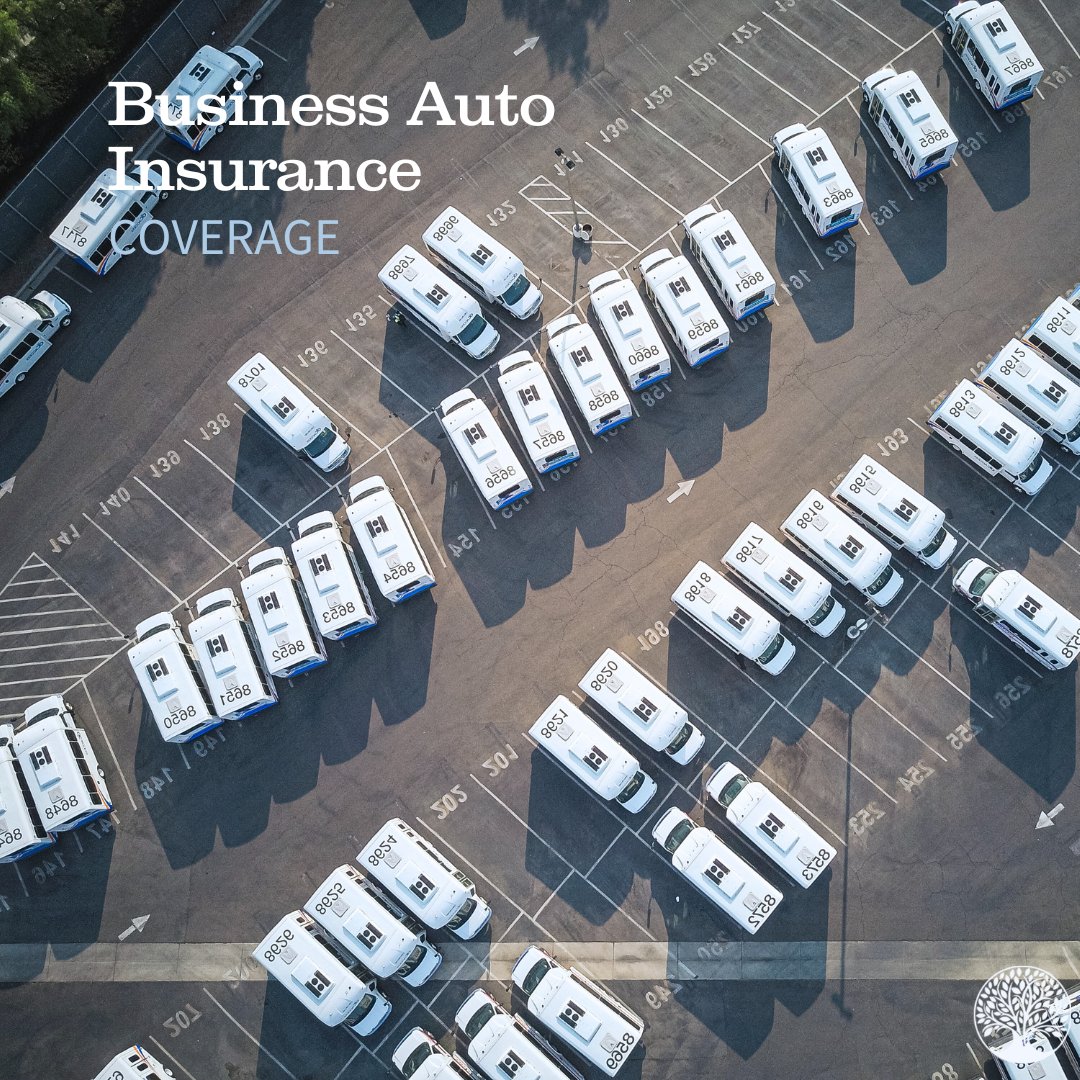 OwnbyInsurance's tweet image. Whether you manage a single vehicle or a full fleet, Business Auto Insurance helps keep your company protected on the road. 🛻 Ready to get covered? Visit our website to request a quote today! zurl.co/zdQdJ 

#BusinessInsurance #AutoCoverage #FleetProtection