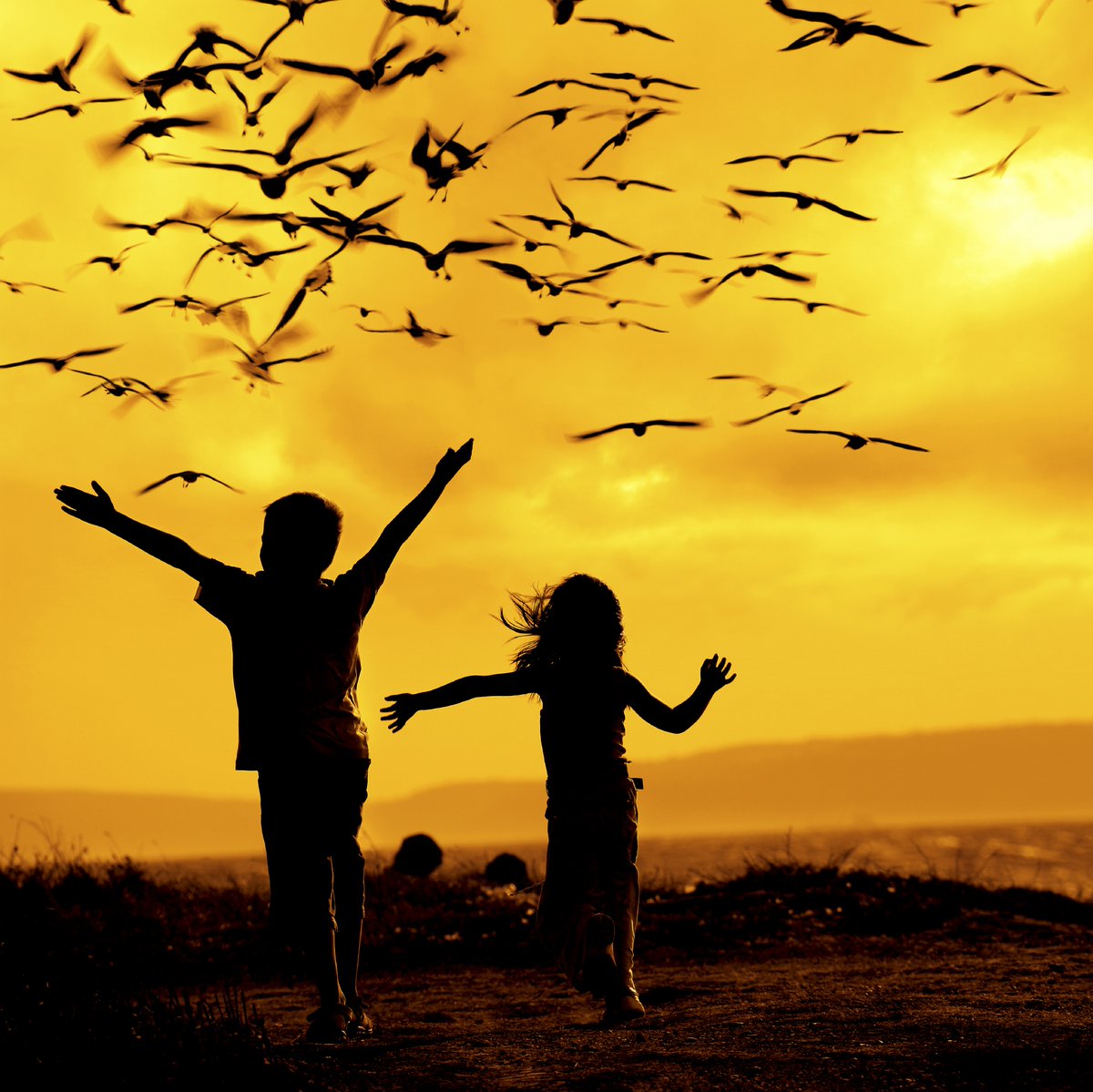 Check it out: Our environmental health resource roundup contains evergreen information for public health professionals on the health impacts of #drought, drought data and reports, and guidance for drought preparation, response, and communication. naccho.org/blog/articles/…