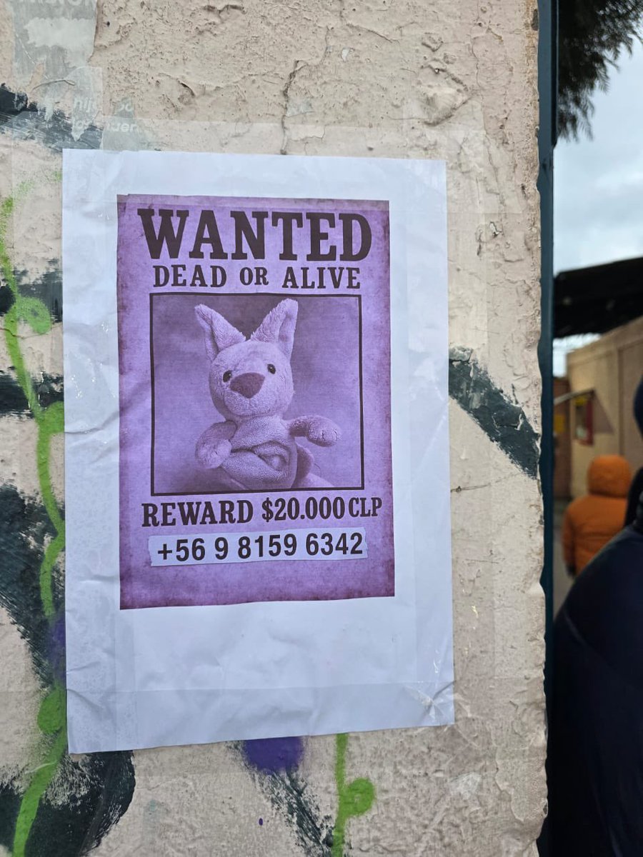 Una nueva tragedia azota a la familia: mi sobrino perdió a su Canguri y mi hermana hizo esto. Así que si llegan a verlo (La Cisterna, El Bosque, por ahí), ya saben ya.
#todosporcanguri RT