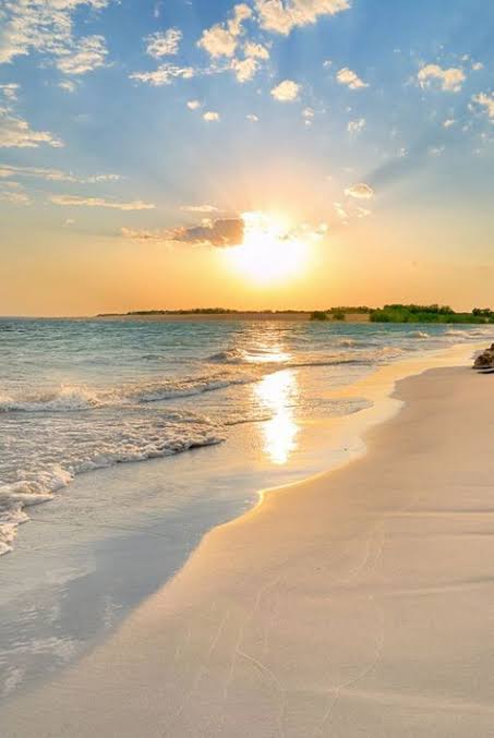 Aesthetics (@aestheticspost_) on Twitter photo Sunrise Sunrise