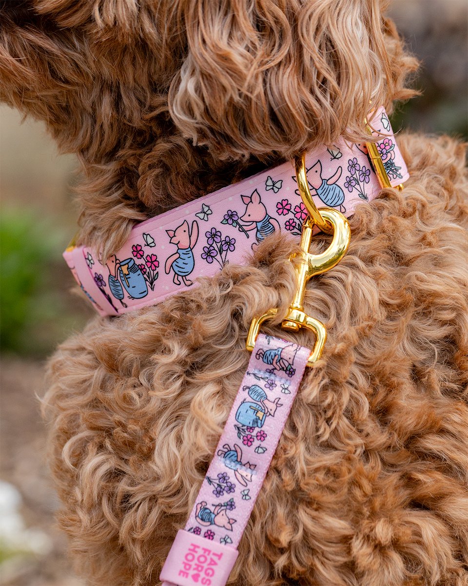 TagsforHope's tweet photo. Everyone’s favorite vintage little friend is now pretty in pink 💗⁠
⁠
Snag it before the sale ends this Sunday, June 22!
https://t.co/mFK3Q8FKHR https://t.co/icy0w0X4D2