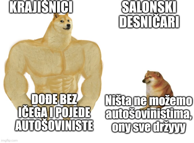 Evo čoveka (@evocoveka) on Twitter photo 