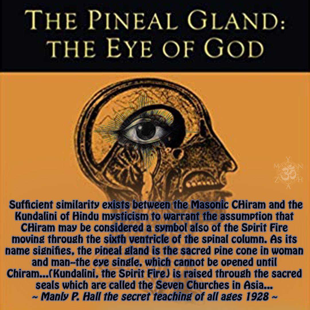 They called it the Eye of God…
But it’s been hidden in plain sight. 👁️

🧠 Activate your pineal, awaken the divine.
📕 tinyurl.com/bookofwisdom369