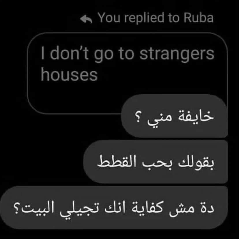 القط المشمشي بيخربش بس مش اوي (@gemininagi) on Twitter photo 