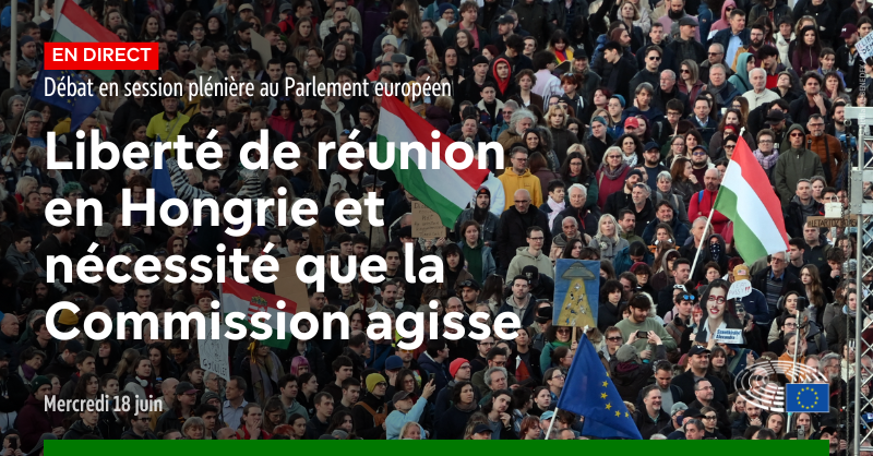 #Hongrie | Liberté de réunion menacée

Cet après-midi, les députés interrogeront la Commission sur sa position concernant le respect des valeurs européennes en Hongrie après l’interdiction de la marche des fiertés de Budapest.

🕜 à partir de 14H
🔴 tinyurl.com/3cfc35v2