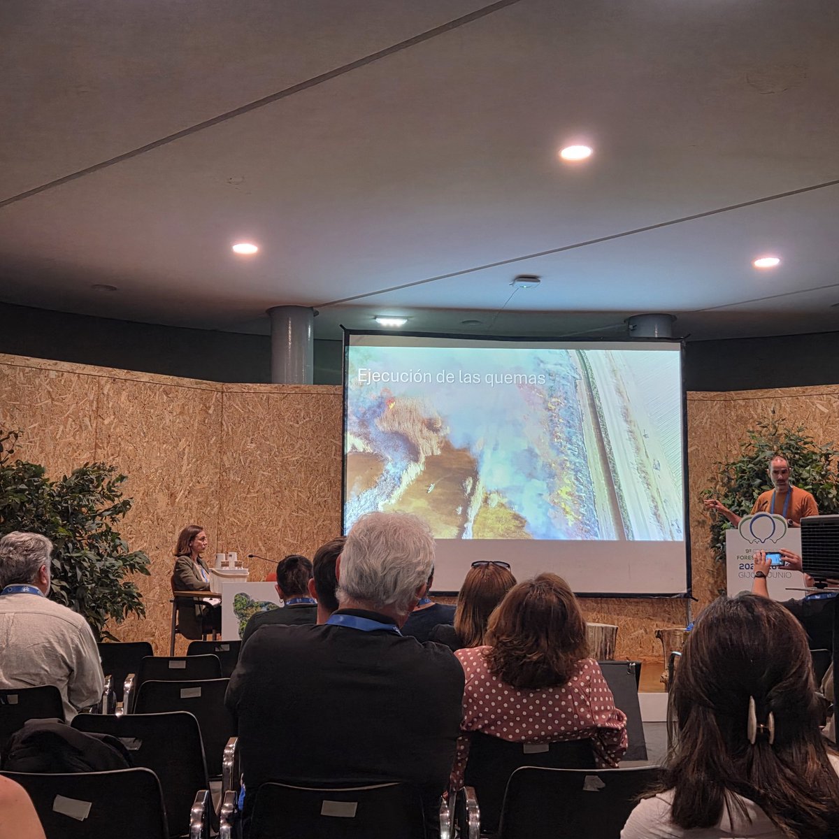 whatifbosques tweet media