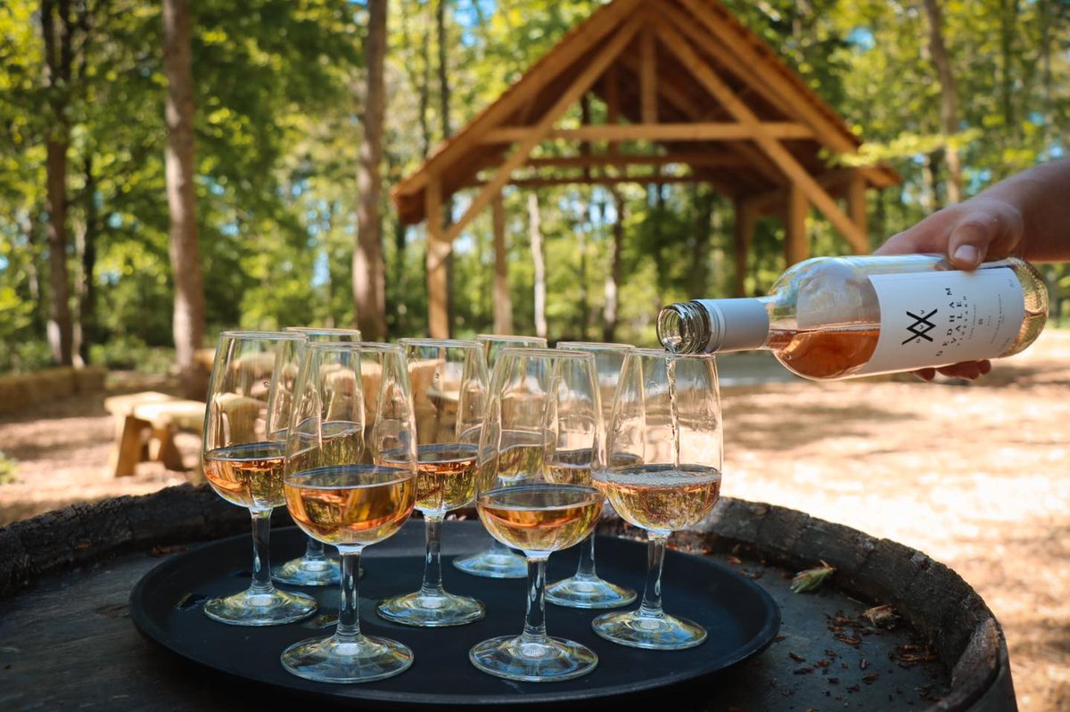 Visit Colchester (@visitcolchester) on Twitter photo #EnglishWineWeek? Don't mind if we do🍷😉
In #Colchester we're spoilt for choice w/vineyards in Dedham, Mersea + a hop across the district borders in Thorrington + Ardleigh too!
Discover these + more online at visitcolchester.com
📸:Mersea Island Vineyard/<a href="/DedhamValeVines/">DedhamValeVineyard</a> #EnglishWineWeek? Don't mind if we do🍷😉
In #Colchester we're spoilt for choice w/vineyards in Dedham, Mersea + a hop across the district borders in Thorrington + Ardleigh too!
Discover these + more online at visitcolchester.com
📸:Mersea Island Vineyard/<a href="/DedhamValeVines/">DedhamValeVineyard</a>