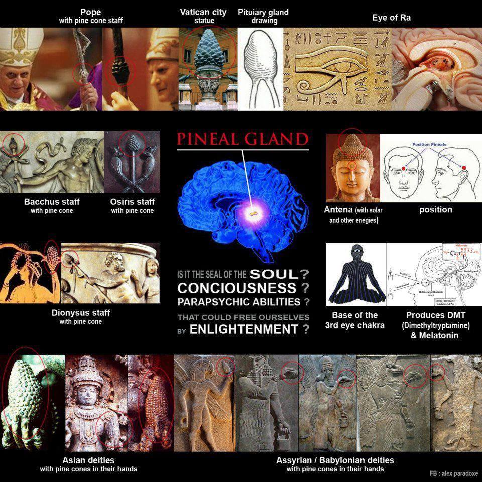 Why is the pine cone symbol found in every ancient culture? 🍍👁️🧠

Because the pineal gland is more than a gland —
It’s the key to your soul, your energy, your freedom. 

Discover your true potential today:
📘 tinyurl.com/bookofwisdomvo…