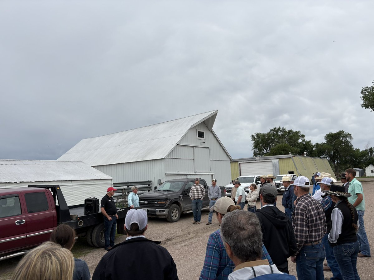 kacie_mccarthy's tweet image. Nice morning for the Stocker Yearling Tour hosted by @UNLBeef Extension. Touring Pawnee Springs Ranch in Maxwell, NE.