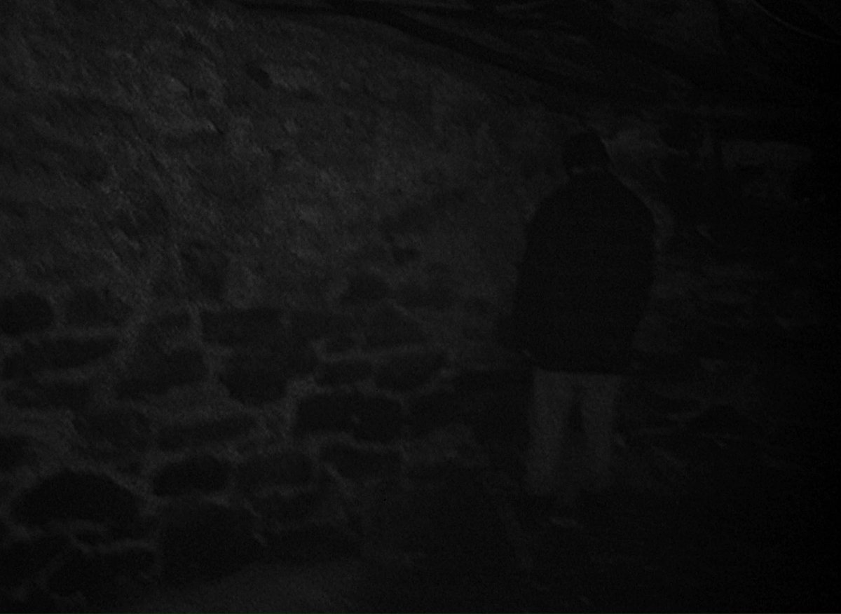 The Blair Witch Project (1999) dir. Daniel Myrick, Eduardo Sánchez