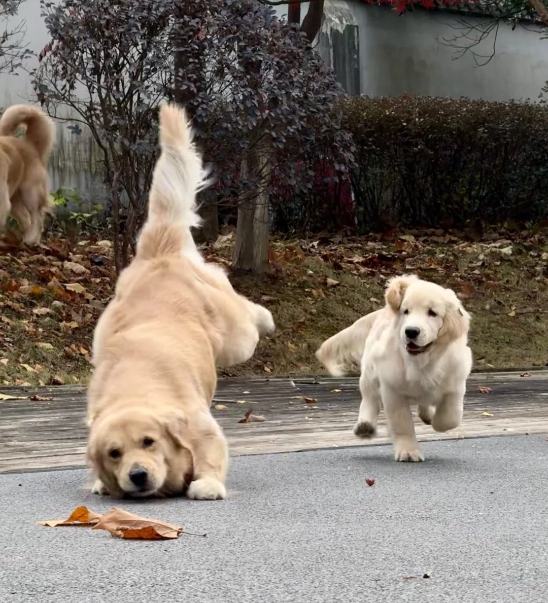 Brenda Farro (@brendafarro) on Twitter photo 