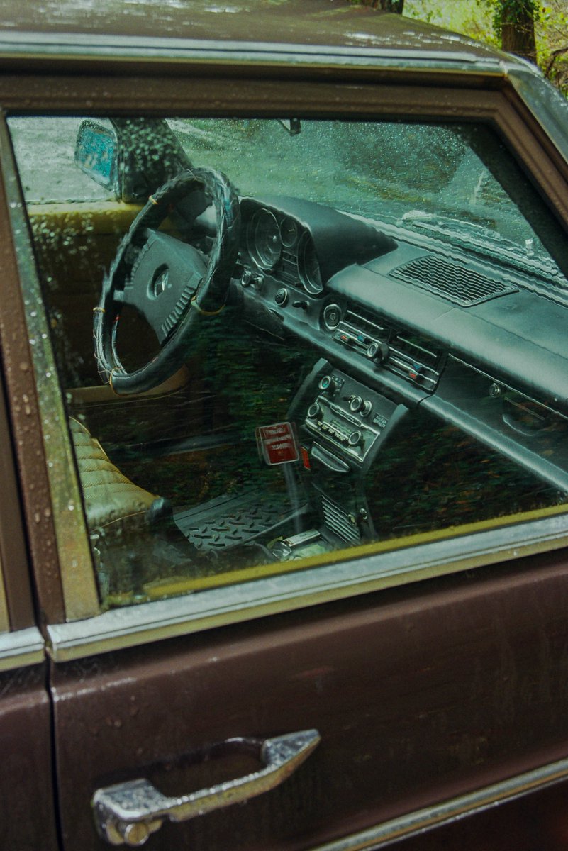 Gm everyone🎞️🌧️