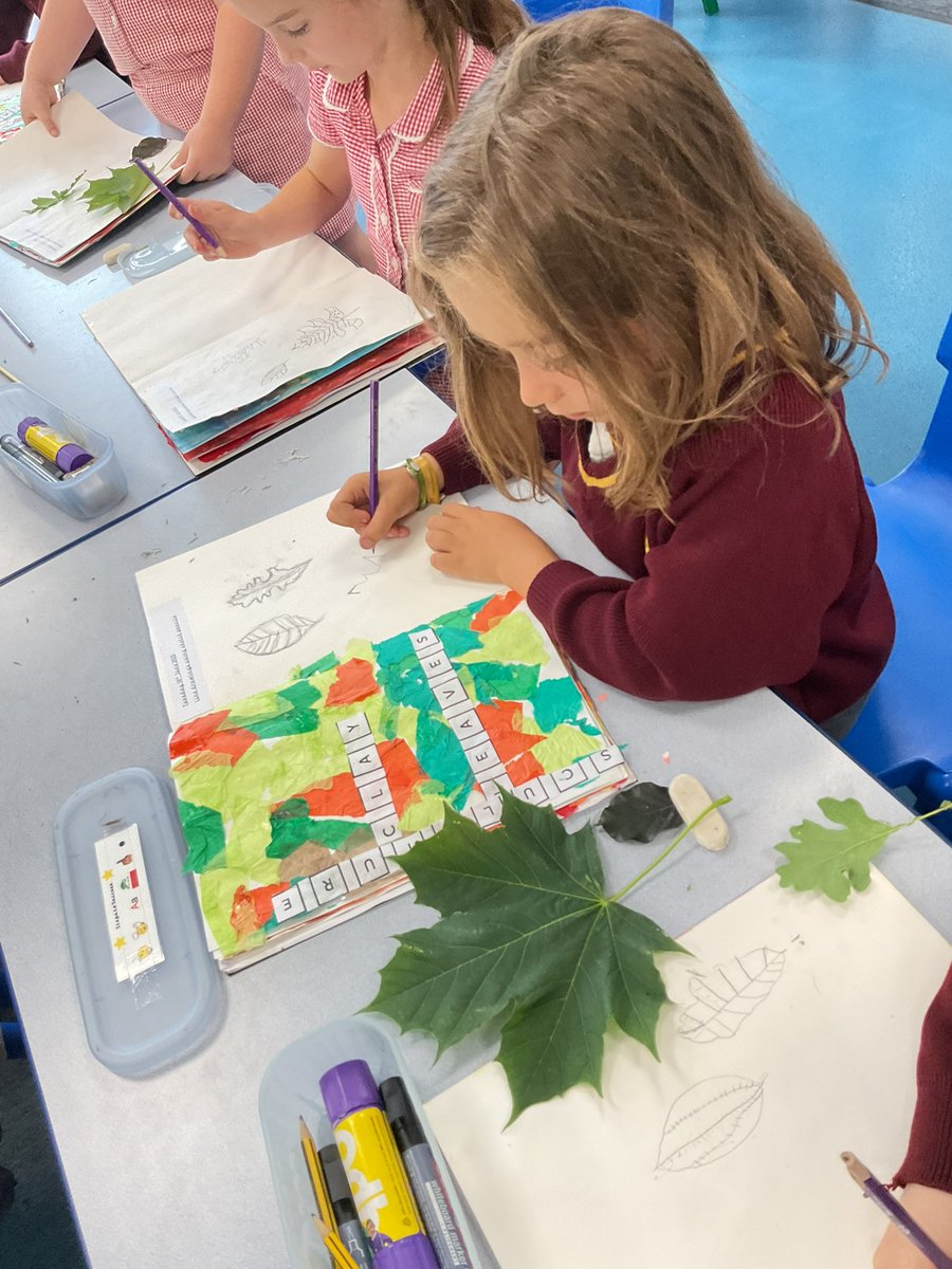 The afternoon we have been sketching a variety of leaves, really focusing on the shape and details that we could see. 🍁🍃 #pdaart