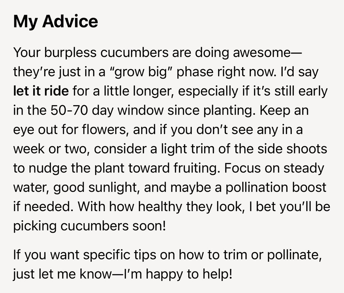 My cucumbers have hit insaneo mode—vines everywhere, leaves the size of my head! 

Turned to AI for advice on whether to tame them or let it ride. It says let ‘em grow (for now).

AI is the world’s best assistant for helping my business and hobbies grow and flourish.