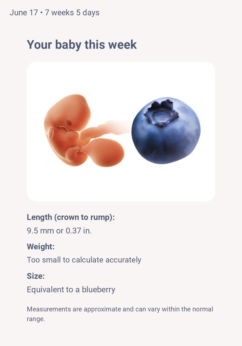 mayalutha's tweet photo. 🗓 17 June 2025

Pertama kali cek kandungan, agak kaget karena kata dokter, usia kandungan aku udah 7 minggu... Udah sebesar blueberry... 🥺

Sehat-sehat di dalam perut bunda ya, nak. ❤
https://t.co/E9D4mjVifj https://t.co/jWtSEmp6pY