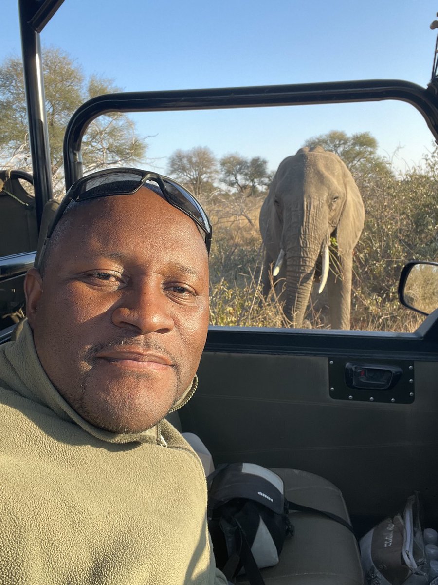 The Real KING OF THE JUNGLE tweet media
