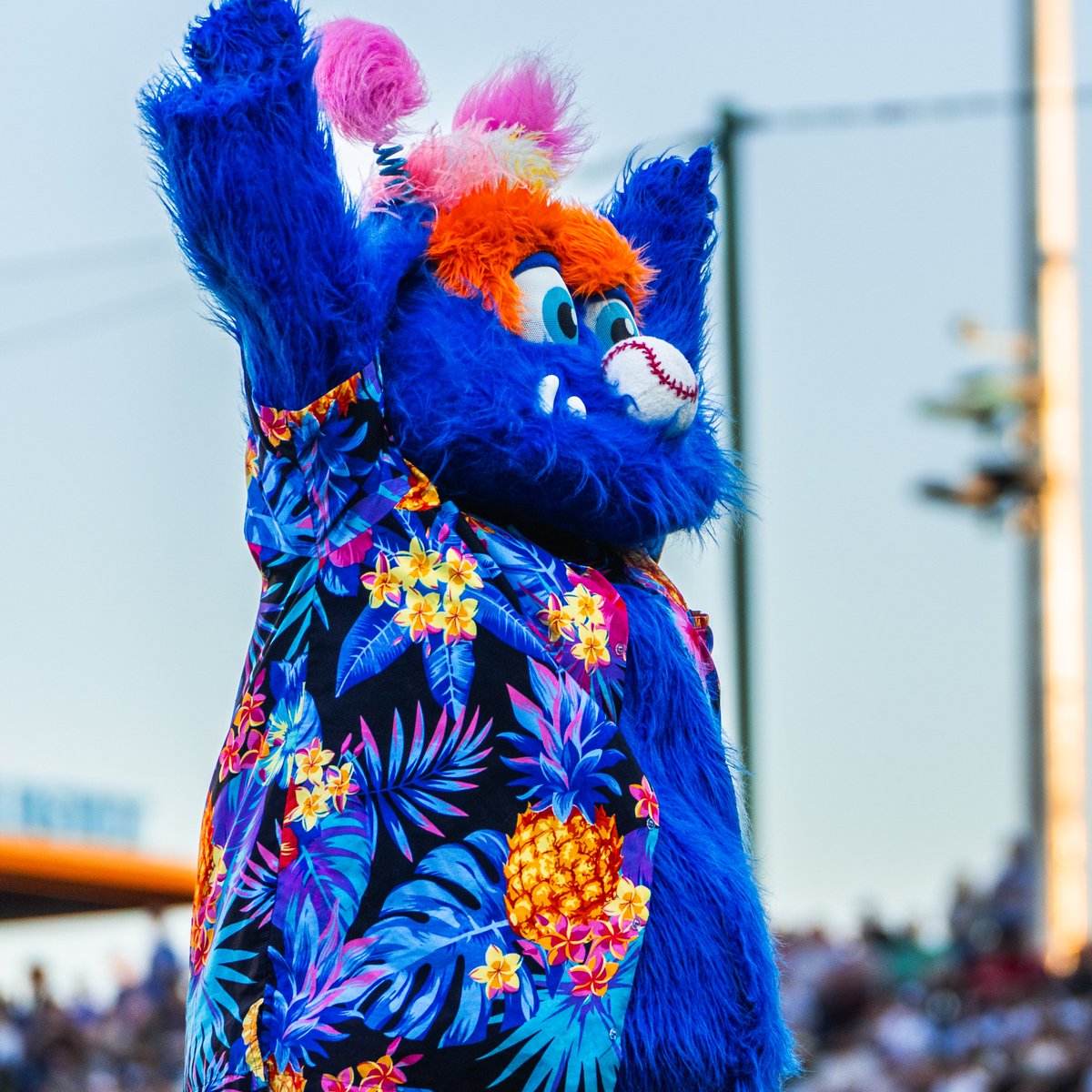 Happy National Mascot Day to 2 of the best to ever lace 'em up! 💙🧡
