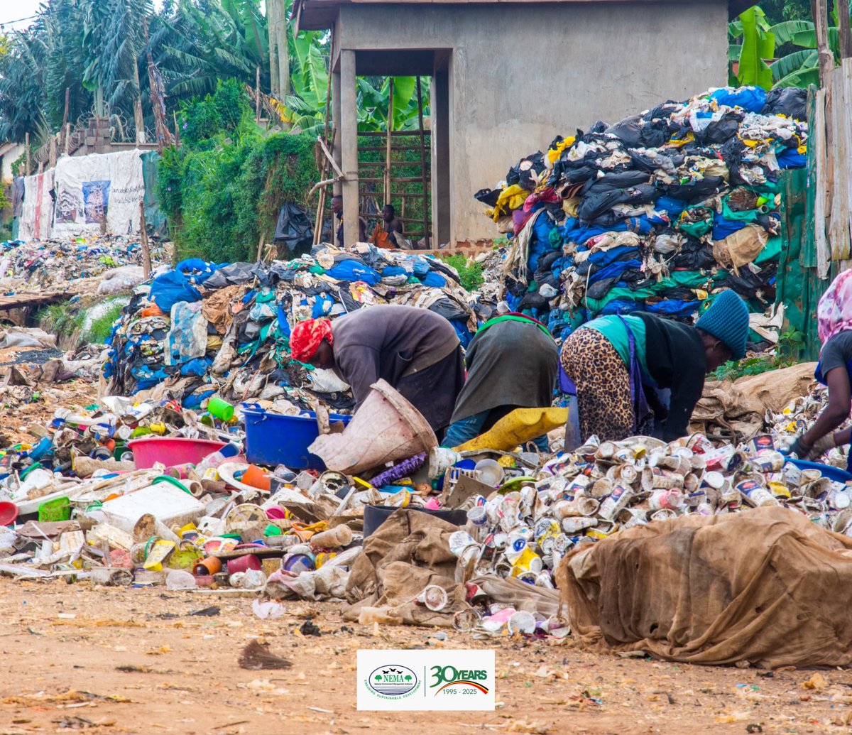 kihembosarah (@kihembosarah1) on Twitter photo History will ask: What did you do when plastic was poisoning your land?Our answer begins on 25th June 2025, in Kabale District,@KigeziHighPrimarySch
Stand with <a href="/nemaug/">National Environment Management Authority (NEMA)</a>. Stand with Uganda #UnitedAgainstPlastic
#WED2025
<a href="/WemUganda/">Women on Environment Mission</a>
<a href="/WoSEUg1/">Women for Sustainable Earth</a>
<a href="/plawaste/">Plawaste Consult Limited</a>
<a href="/DaisyNakyobe/">Nakyobe Daisy</a>
<a href="/TCEN_Kyegegwa/">The Community Empowerment Network TCEN Uganda</a> History will ask: What did you do when plastic was poisoning your land?Our answer begins on 25th June 2025, in Kabale District,@KigeziHighPrimarySch
Stand with <a href="/nemaug/">National Environment Management Authority (NEMA)</a>. Stand with Uganda #UnitedAgainstPlastic
#WED2025
<a href="/WemUganda/">Women on Environment Mission</a>
<a href="/WoSEUg1/">Women for Sustainable Earth</a>
<a href="/plawaste/">Plawaste Consult Limited</a>
<a href="/DaisyNakyobe/">Nakyobe Daisy</a>
<a href="/TCEN_Kyegegwa/">The Community Empowerment Network TCEN Uganda</a>