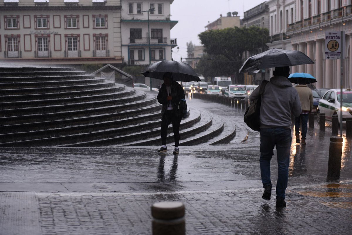 NBC Diario tweet media