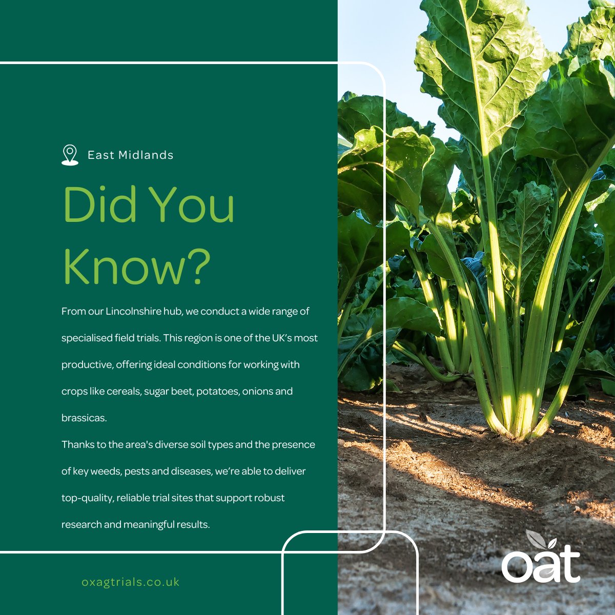 Oxford Agricultural Trials tweet media