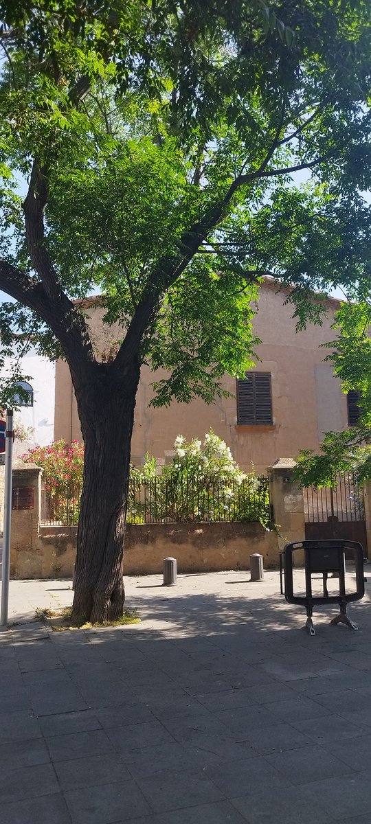 Educació Primària Col·legi Natzaret Esplugues tweet media