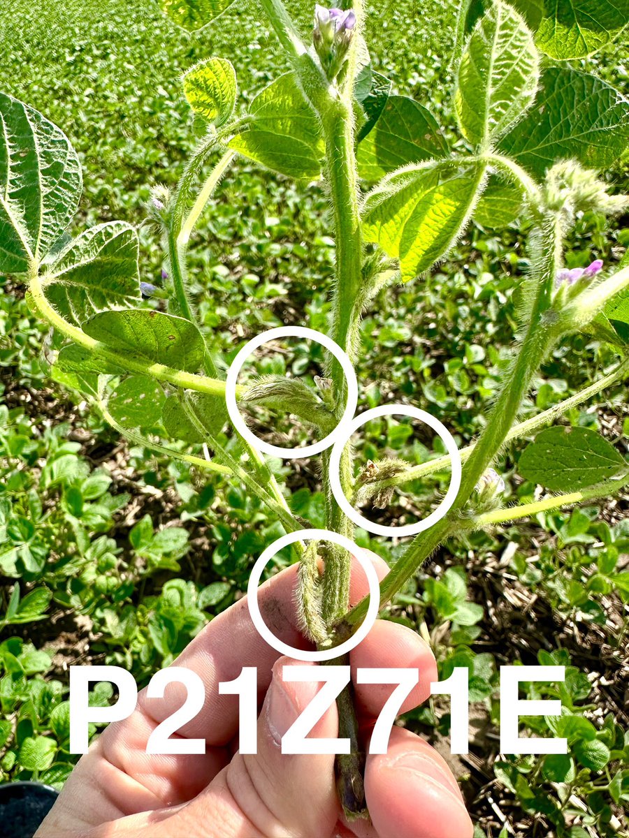 Matthew Vandehaar tweet media