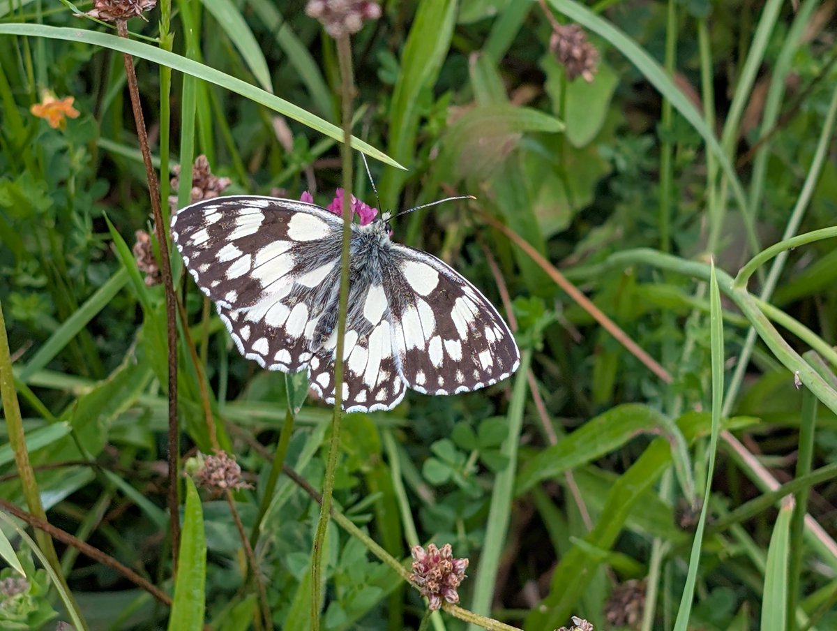 Sandhill House Country Retreat tweet media