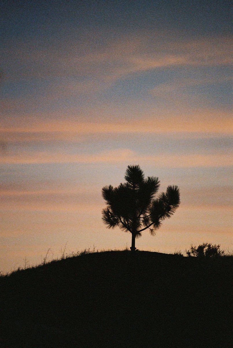 s a i g e ✨ tweet media