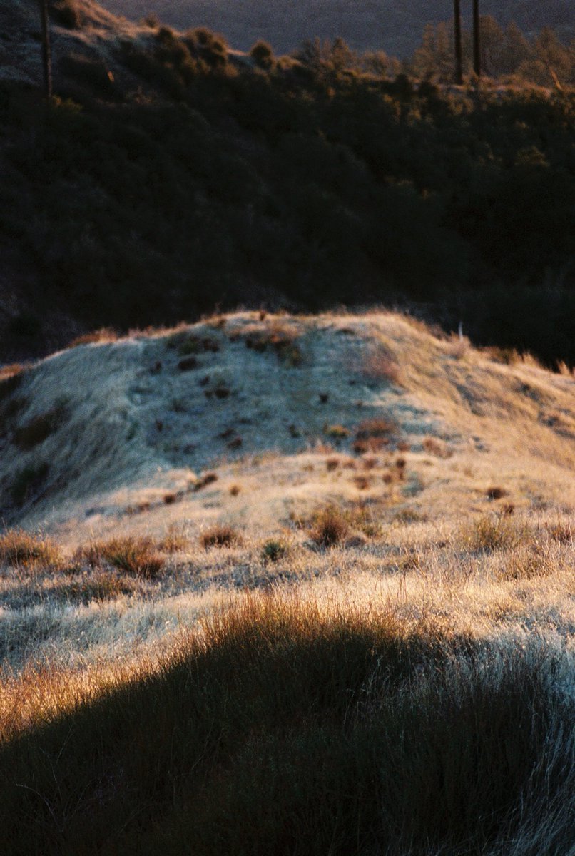 s a i g e ✨ tweet media