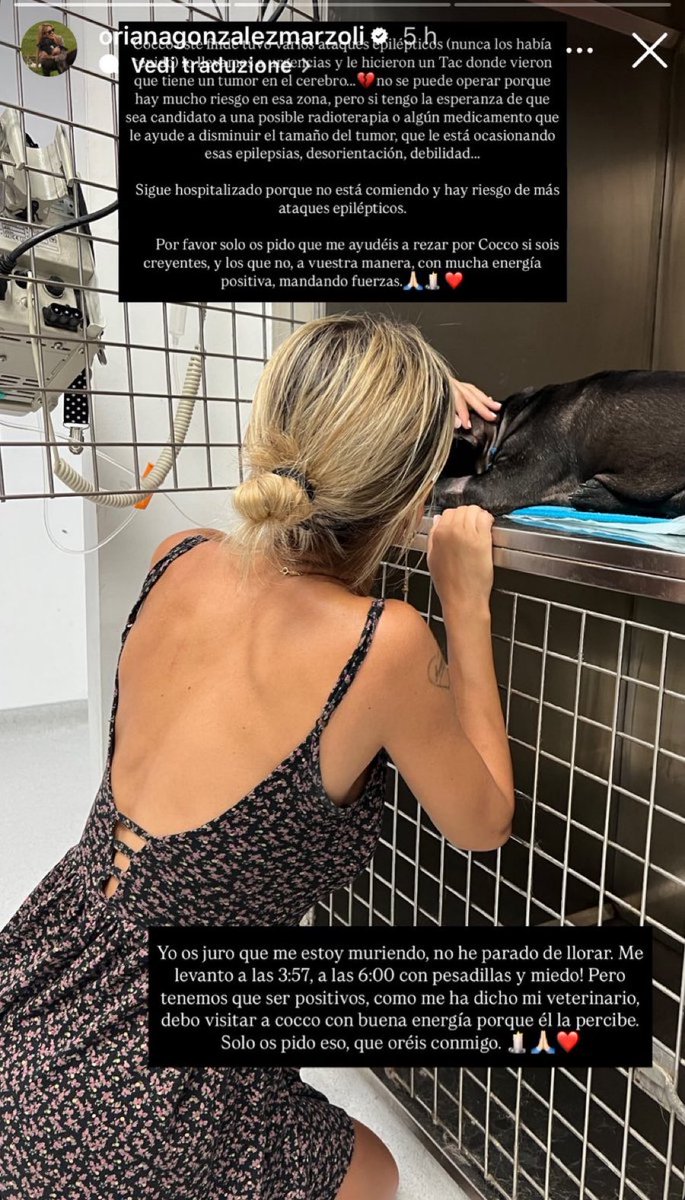 Forza amore… é un dolore immenso e ti capisco benissimo 🥹#orianamarzoli