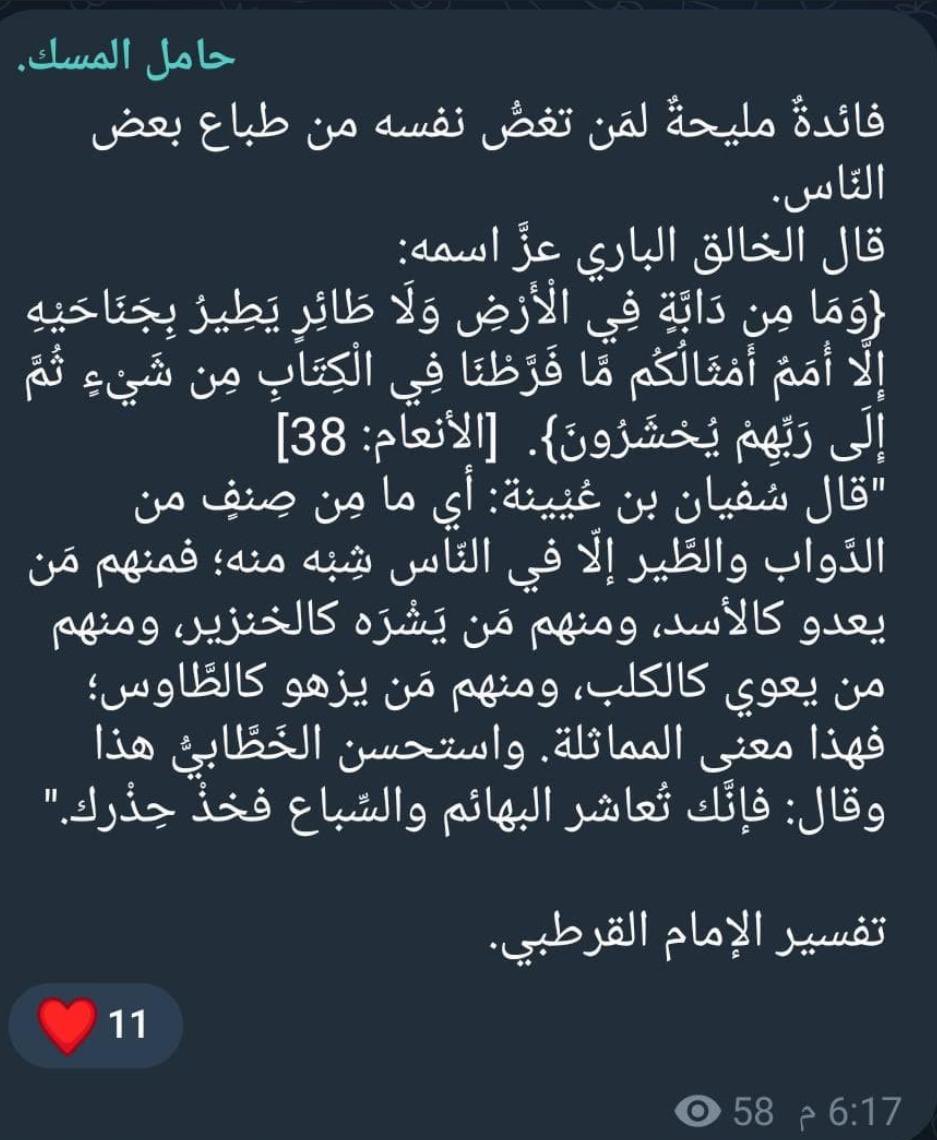 مـحـمد ياقتي (@mdyt86) on Twitter photo 