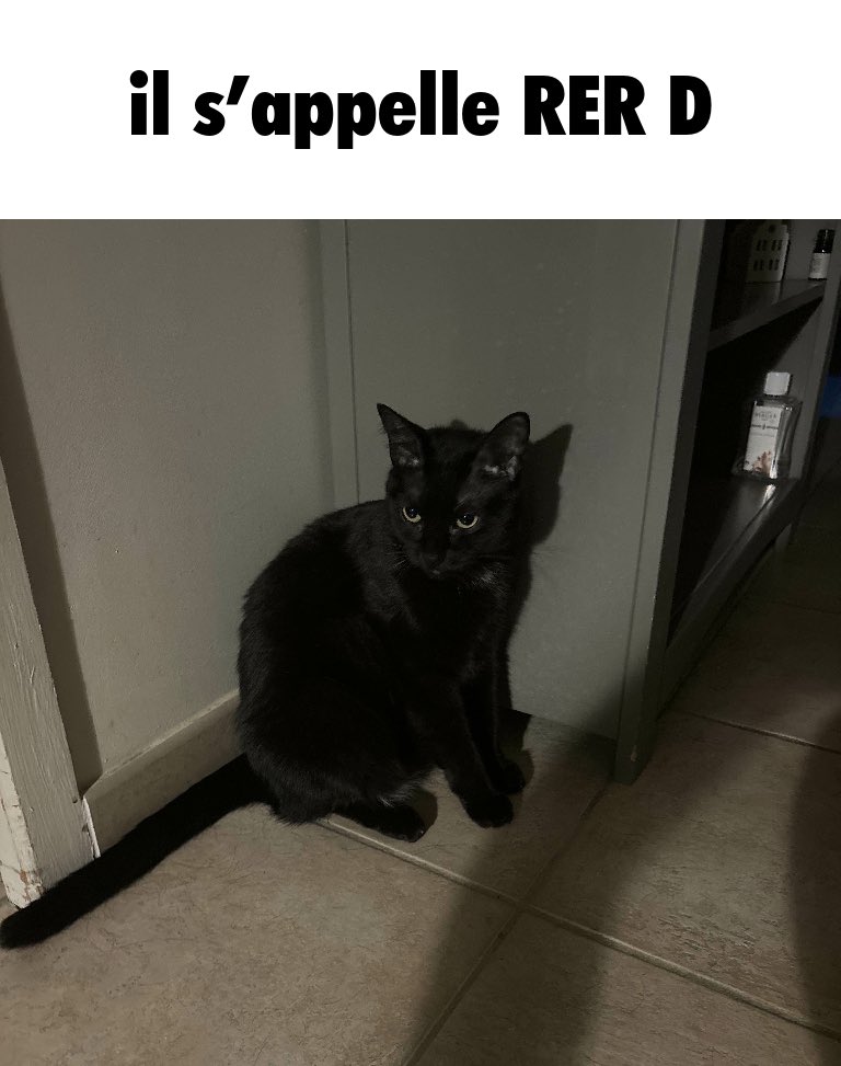 kheops (@kheops_osu) on Twitter photo 