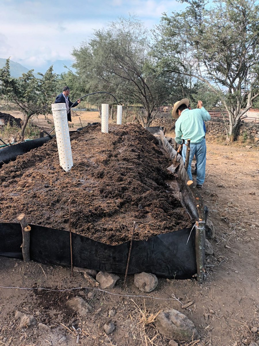 MAMartinezT's tweet photo. Bioinsumus comunitarios: Una herramienta clave para la transición agroecológica, para enfrentar los desafíos ambientales, económicos y sociales derivados de la agricultura convencional.  https://t.co/OrV22KaEOM  @Secihti_Mx  Proyecto Faros Agroecológicos del @ciadmx https://t.co/qTCKXLmFVk